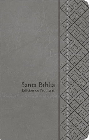 Santa Biblia de Promesas Reina-Valera 1960 / Tamaño Manual / Letra Grande / Piel Especial con Índice / Gris