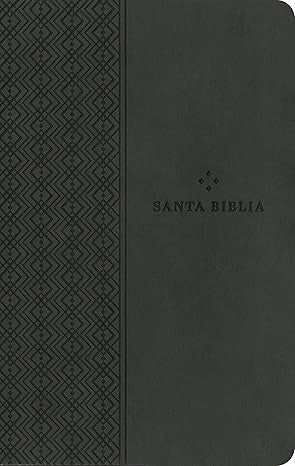 Biblia valor prémium NTV con Filament (SentiPiel, Gris)