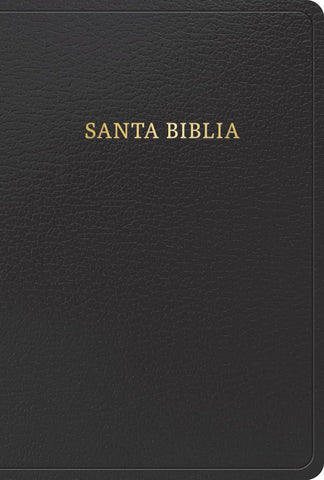 RVR 1960 Biblia letra grande tamaño manual, negra, imitación piel con índice (edición 2023)