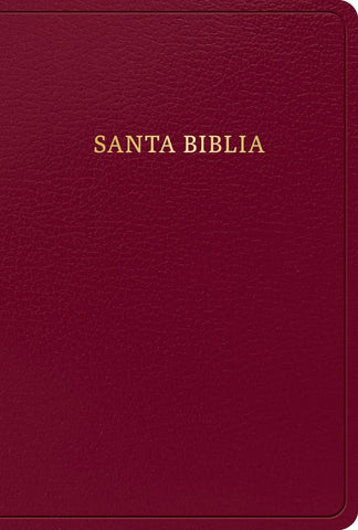 RVR 1960 Biblia letra grande tamaño manual, borgoña, imitación piel (edición 2023)