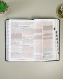 Biblia de Promesas, Rvr-1960, Letra Grande, Tamaño Manual, Piel Especial Con Indice, Moderno Negro