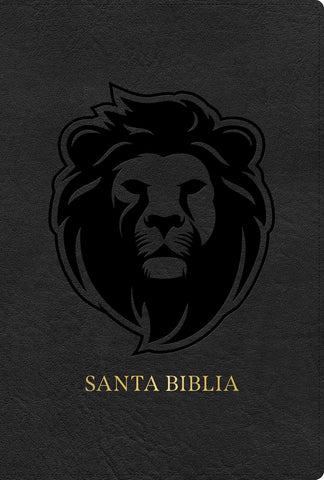 RVR 1960 Biblia letra grande tamaño manual edición especial, ceniza, símil piel