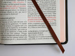 Biblia RVR 1960 Tamaño Manual Letra grande León de Judá edición especial bronce