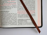 Biblia RVR 1960 Tamaño Manual Letra grande León de Judá edición especial bronce