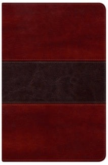 RVR 1960 BIBLIA DEL PESCADOR MAHOGANY LEATHERTOUCH