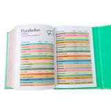 Biblia RV60 Cartera con Broche Magnético Compacta , imit piel verde con asa de mano