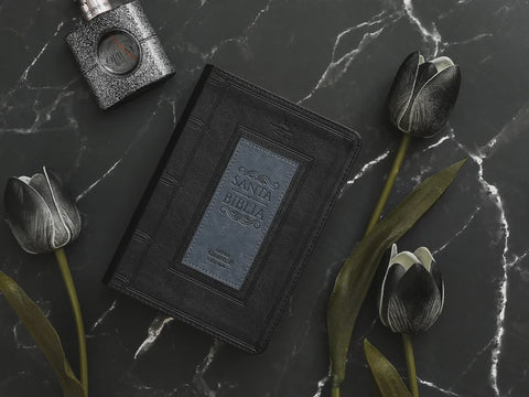 Biblia RVR60 035c PJR frame negro/gris Tamaño Compacto