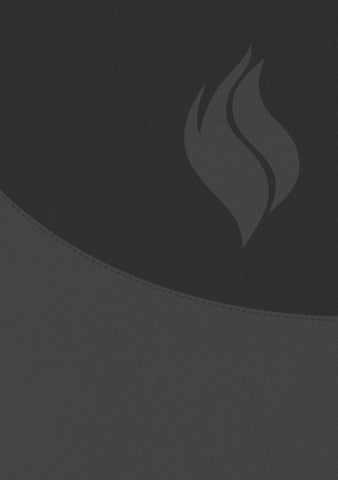 Biblia de Estudio Vida Plena - Ampliada y Actualizada (Imitación piel negro)