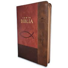 Biblia con Cierre Letra Grande RV1960 con indice PEZ /MARRON