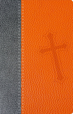 Biblia de promesas edición para jovenes NTV gris naranja