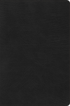RVR 1960 Biblia de Estudio Arco Iris, negro piel fabricada con índice