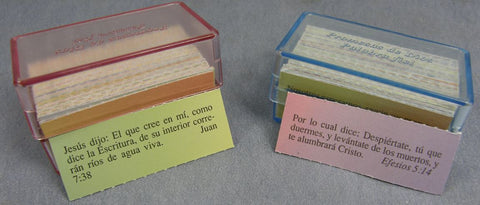 PROMESAS DE DIOS RVR (CAJA ACRILICA)