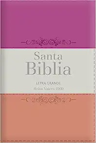 Biblia RVR 1960 Letra Grande Tamaño Manual Tricolor Guinda Crema Melón con Cierre con Índice I