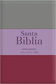 Biblia RVR60 Letra Grande – Tamaño manual / Tricolor: marrón/lila/violeta con indice y cierre