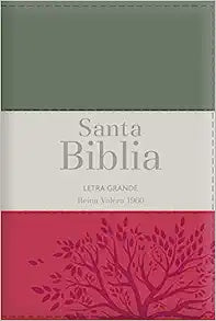 Biblia RVR 1960 Letra Grande Tamaño Manual Tricolor Gris Crema Rojo con Cierre con Índice