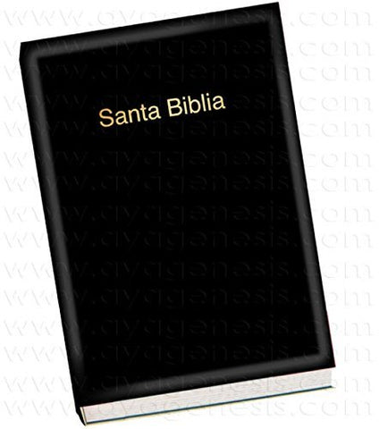 INSP SANTA BIBLIA REINA VALERA 1960 Vynil
