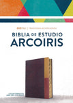 RVR 1960 Biblia de Estudio Arcoiris, gris pizarra/oliva símil piel con índice