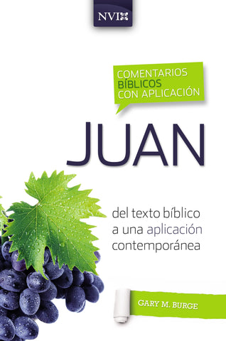 Comentario bíblico con aplicación NVI Juan: Del texto bíblico a una aplicación contemporáneahh