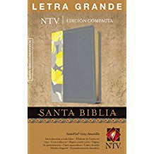 SANTA BIBLIA NTV EDICIÓN COMPACTA LETRA GRANDE GRAY/YELLOW