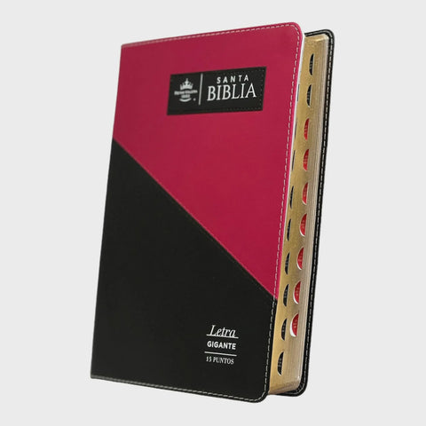 Biblia RVR60 Letra Gigante .15 con Indice - Triangular negro/fúcsia