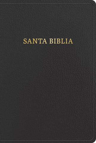 Santa Biblia RVR 1960 Biblia letra gigante, negro, imitación piel (2023 ed.)