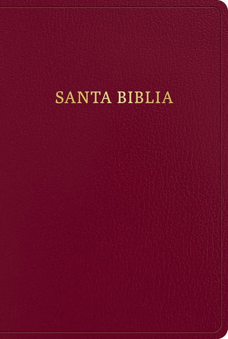 Santa Biblia RVR 1960 Biblia letra gigante, borgoña, imitación piel con índice (2023 ed.)