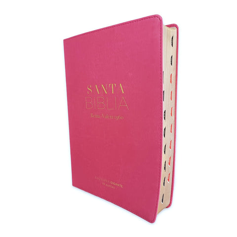 Biblia Letra Súper Gigante 19 puntos RV1960 imit piel fucsia con índice