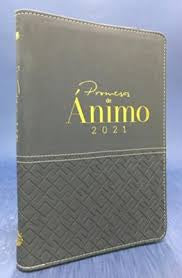 Agenda 2021 Promesas de Animo Negro