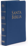 Biblia Reina Valera 1960 - Letra Grande-  Azul Vinilo