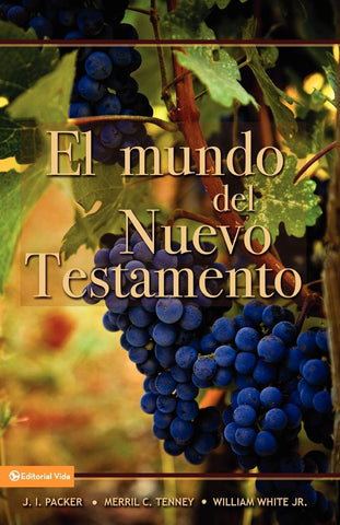 El Mundo Del Nuevo Testamento