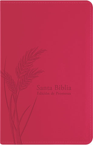 Santa Biblia de Promesas Reina Valera 1960 Tamaño Manual Letra Grande | Rosada