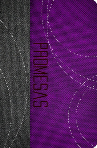 Biblia de Promesas: Edición Juvenil Gris-Violeta