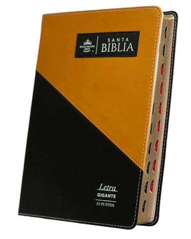 Biblia RVR60 Letra Gigante .15 con Indice - Triangular negro/gris